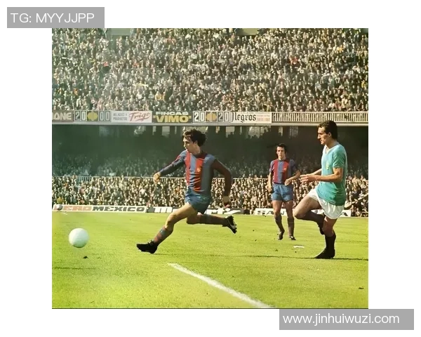 我心中的足球明星与他的传奇故事